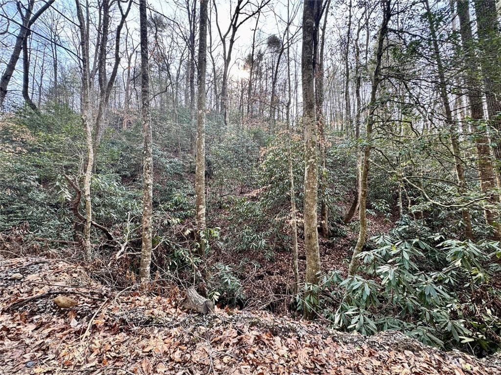 unimproved land for sale at L53 Amy Creek Circle, Ellijay, GA 30540 — photo 3