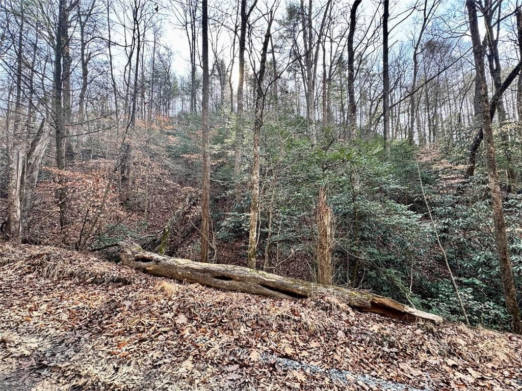 unimproved land for sale at L53 Amy Creek Circle, Ellijay, GA 30540 — photo 4