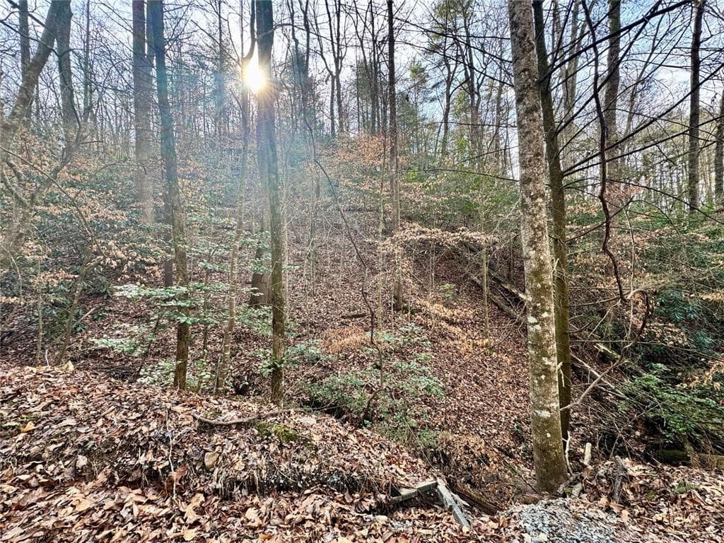 unimproved land for sale at L53 Amy Creek Circle, Ellijay, GA 30540 — photo 5