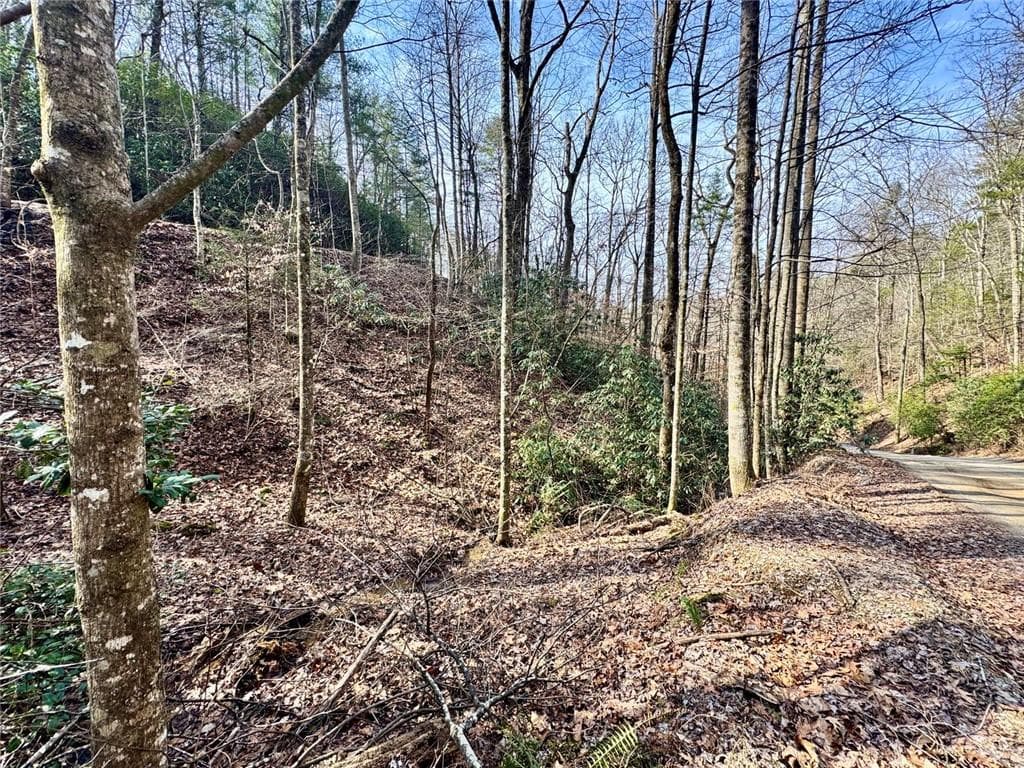 unimproved land for sale at L53 Amy Creek Circle, Ellijay, GA 30540 — photo 6