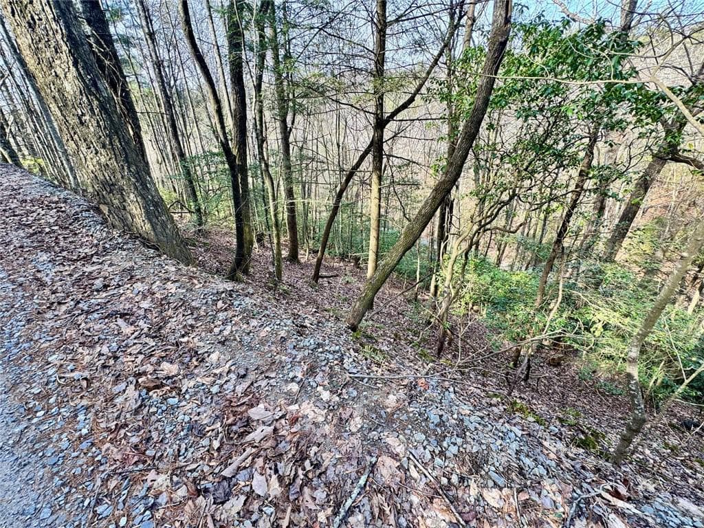 unimproved land for sale at L53 Amy Creek Circle, Ellijay, GA 30540 — photo 7