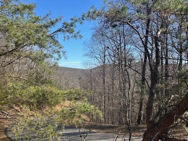 unimproved land for sale at 257 Andes Ridge, Jasper, GA 30143 — photo 1 of 28