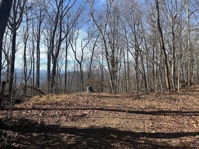 unimproved land for sale at 257 Andes Ridge, Jasper, GA 30143 — photo 6
