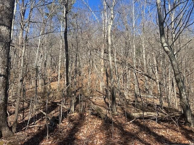 unimproved land for sale at 257 Andes Ridge, Jasper, GA 30143 — photo 7
