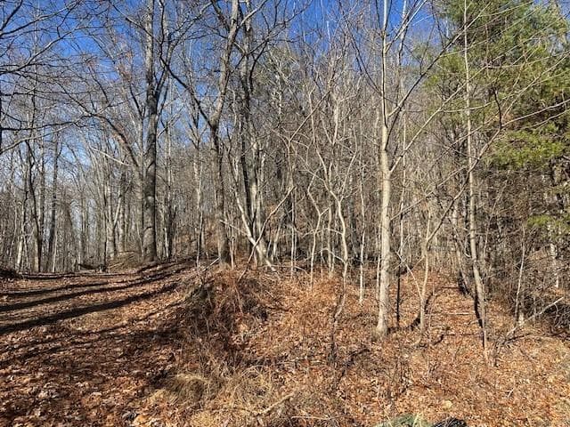 unimproved land for sale at 257 Andes Ridge, Jasper, GA 30143 — photo 8