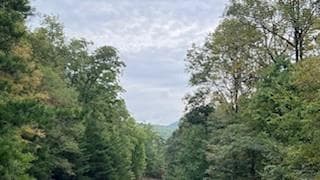 unimproved land for sale at 257 Andes Ridge, Jasper, GA 30143 — photo 9
