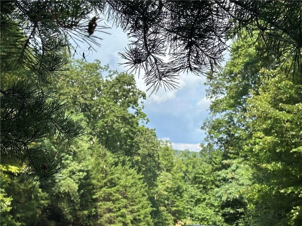 unimproved land for sale at 257 Andes Ridge, Jasper, GA 30143 — photo 10