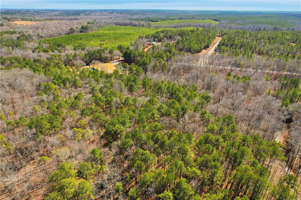 single family residence for sale at 0 Pickett Bridge Road, Covington, GA 30016 — photo 8