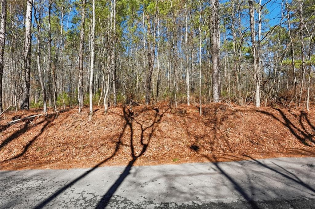 single family residence for sale at 0 Pickett Bridge Road, Covington, GA 30016 — photo 9