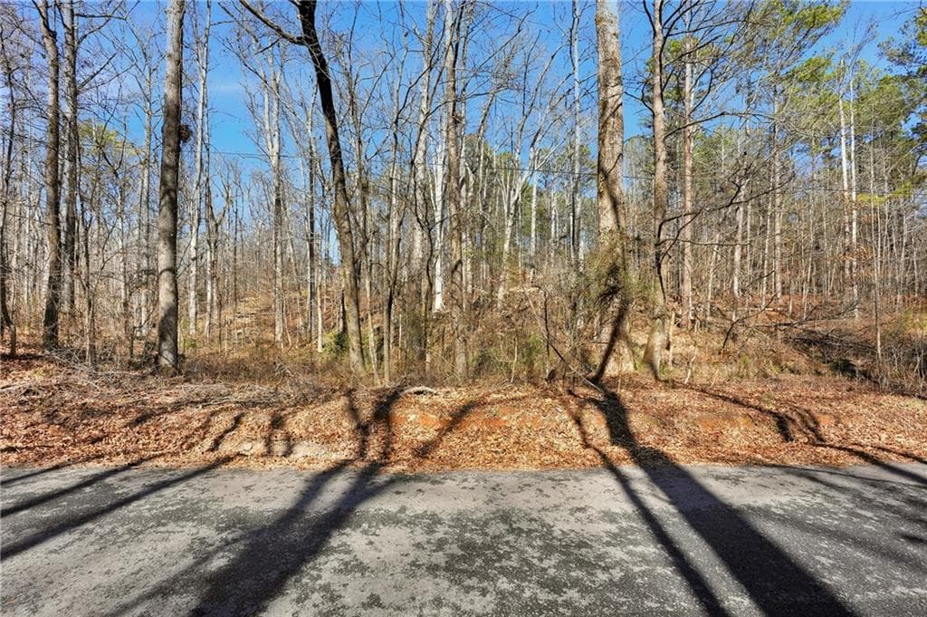 single family residence for sale at 0 Pickett Bridge Road, Covington, GA 30016 — photo 10