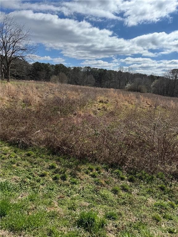other for sale at 0 Hwy 5, Douglasville, GA 30135 — photo 3