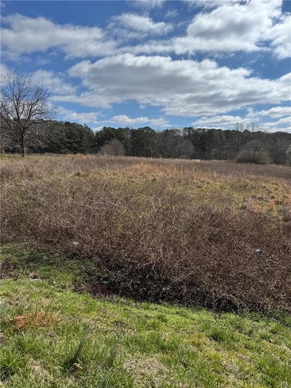 other for sale at 0 Hwy 5, Douglasville, GA 30135 — photo 4