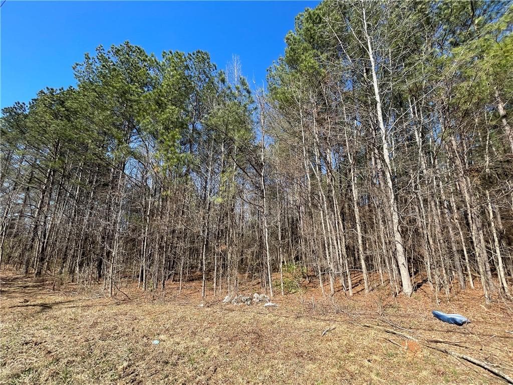 unimproved land for sale at 0 Brown Bridge Road, Covington, GA 30014 — photo 2