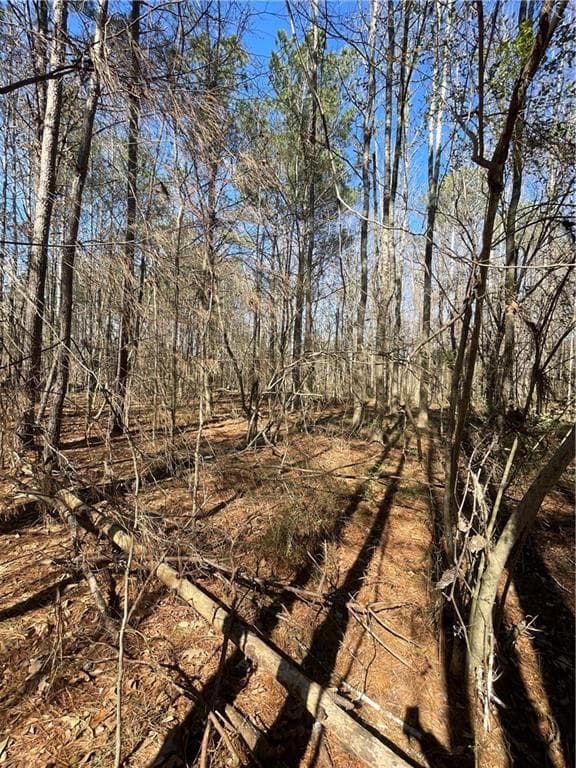 unimproved land for sale at 0 Brown Bridge Road, Covington, GA 30014 — photo 3