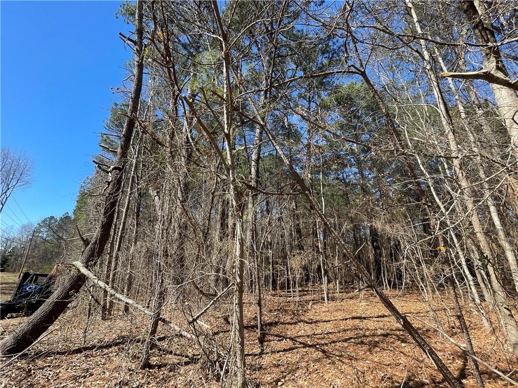 unimproved land for sale at 0 Brown Bridge Road, Covington, GA 30014 — photo 6