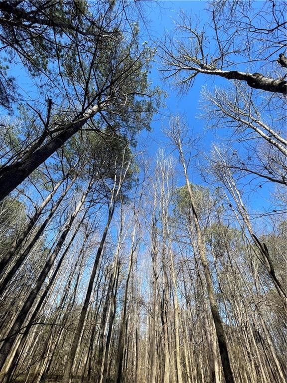 unimproved land for sale at 0 Brown Bridge Road, Covington, GA 30014 — photo 4