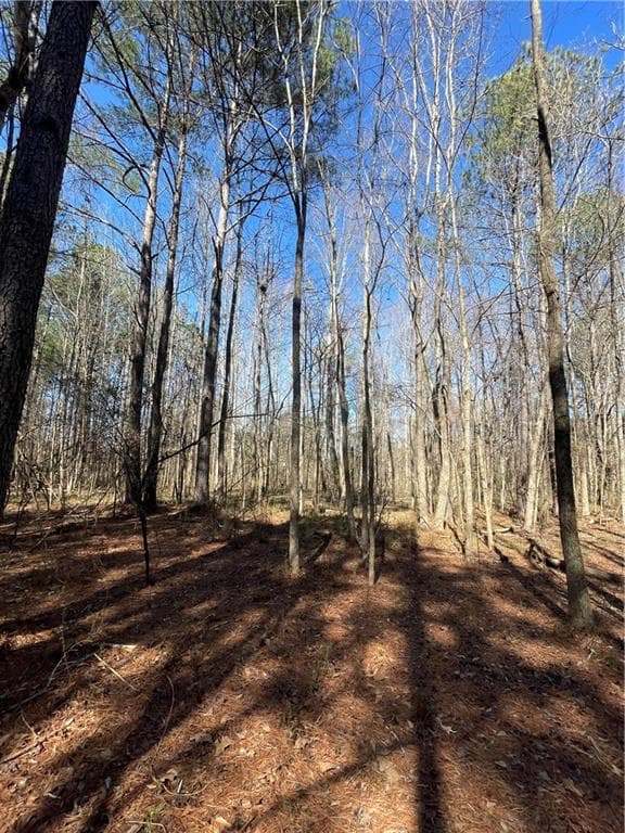 unimproved land for sale at 0 Brown Bridge Road, Covington, GA 30014 — photo 5