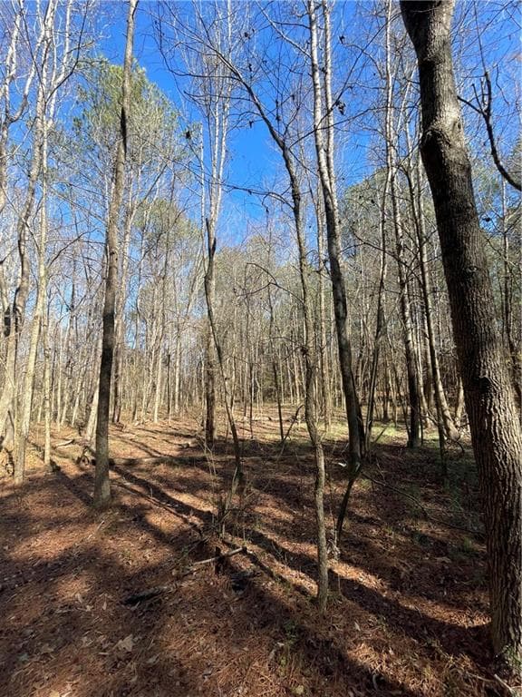 unimproved land for sale at 0 Brown Bridge Road, Covington, GA 30014 — photo 8