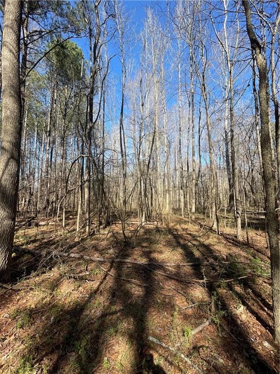 unimproved land for sale at 0 Brown Bridge Road, Covington, GA 30014 — photo 7