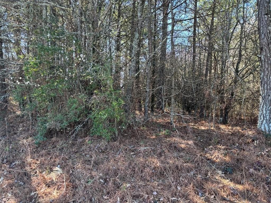 unimproved land for sale at 2515 Eastgate Place, Snellville, GA 30078 — photo 2