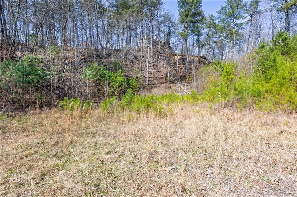 unimproved land for sale at 53 Somerset Lane, Cartersville, GA 30121 — photo 4