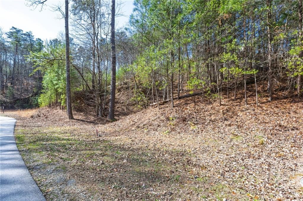 unimproved land for sale at 53 Somerset Lane, Cartersville, GA 30121 — photo 5