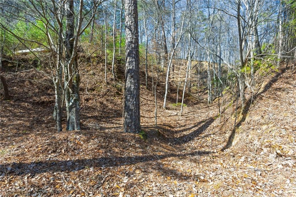 unimproved land for sale at 53 Somerset Lane, Cartersville, GA 30121 — photo 6