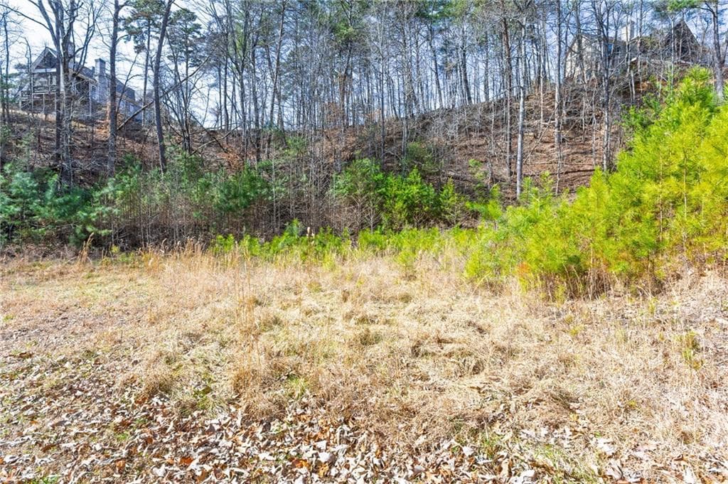 unimproved land for sale at 53 Somerset Lane, Cartersville, GA 30121 — photo 7