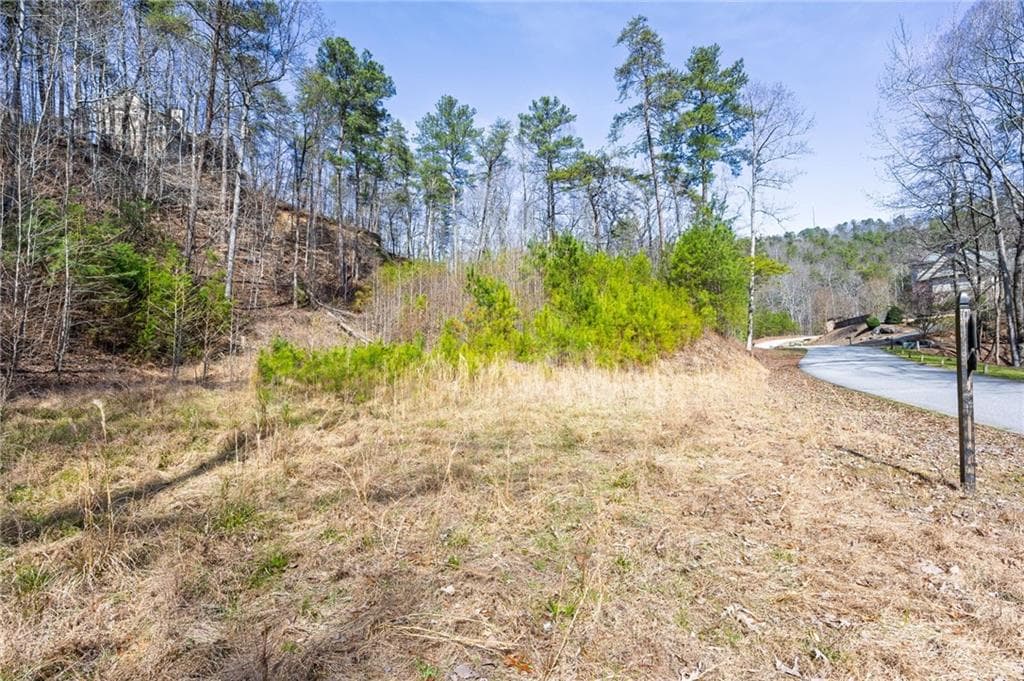 unimproved land for sale at 53 Somerset Lane, Cartersville, GA 30121 — photo 8