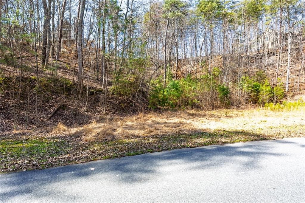 unimproved land for sale at 53 Somerset Lane, Cartersville, GA 30121 — photo 9