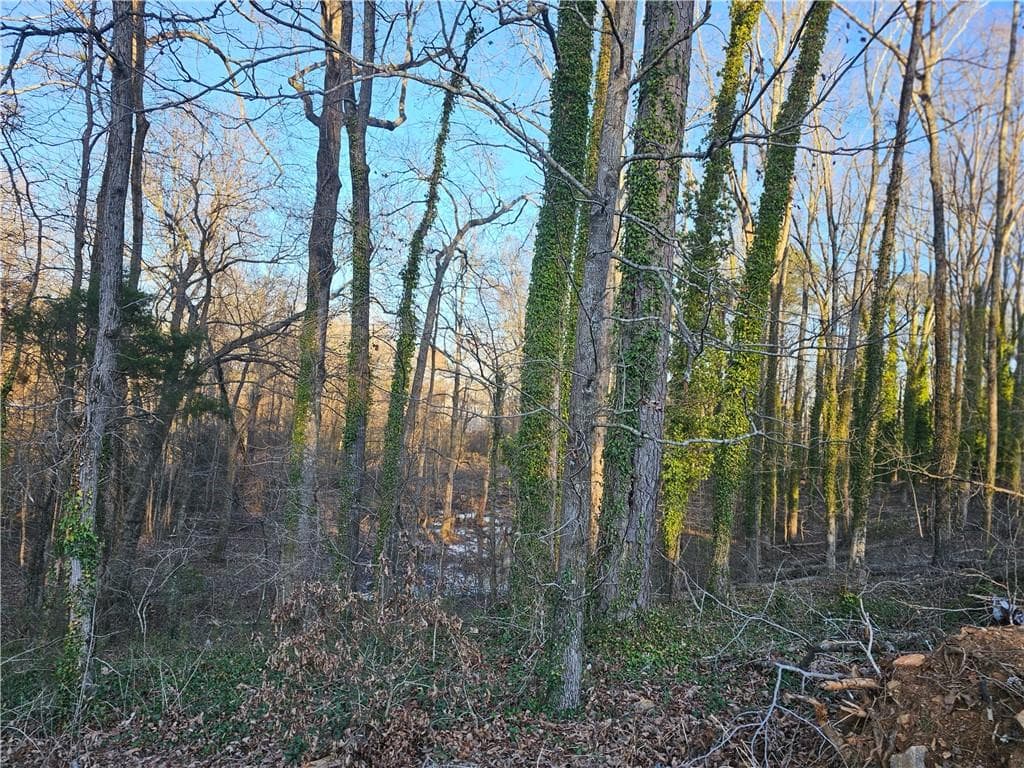 unimproved land for sale at 3060 Highway 20, Conyers, GA 30013 — photo 1 of 2