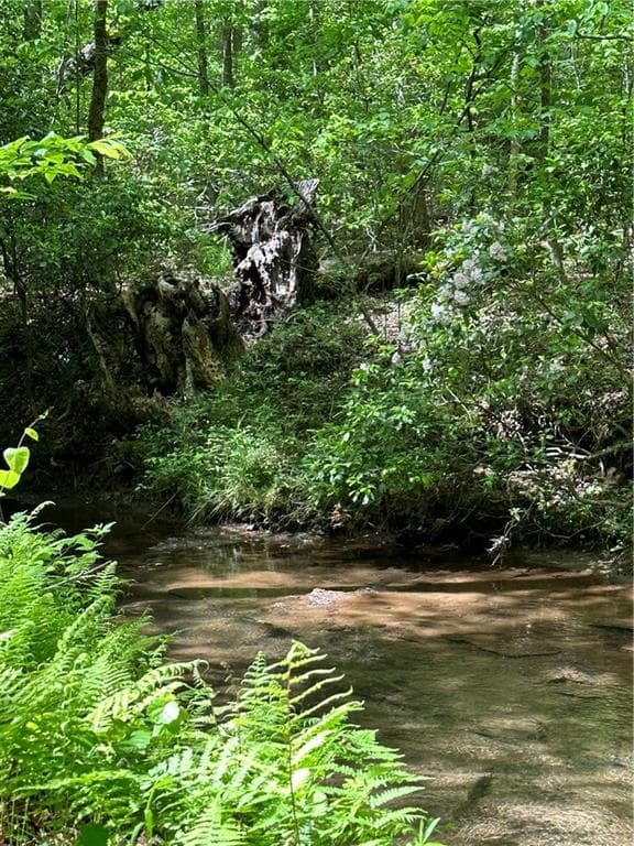 unimproved land for sale at 0000 Bridle Ridge Lane, Canton, GA 30114