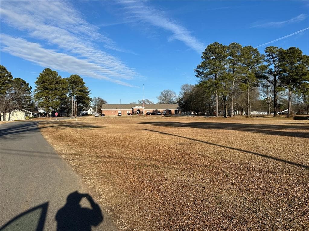 unimproved land for sale at 0 Highway 101 Highway, Aragon, GA 30104 — photo 8