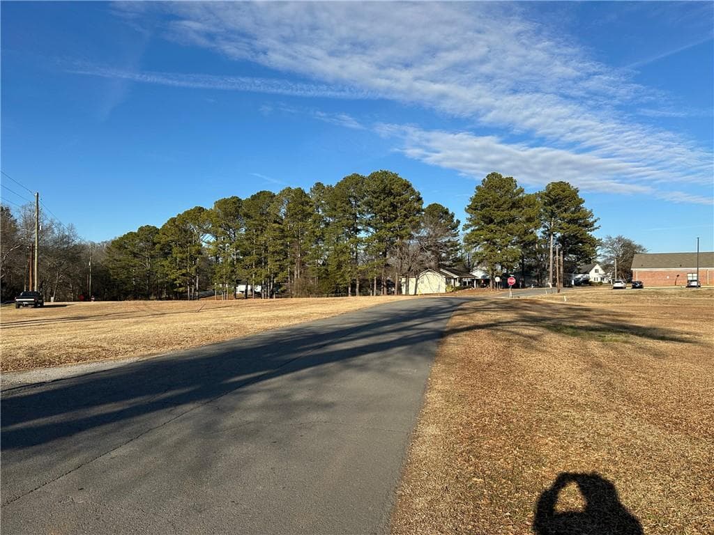 unimproved land for sale at 0 Highway 101 Highway, Aragon, GA 30104 — photo 10