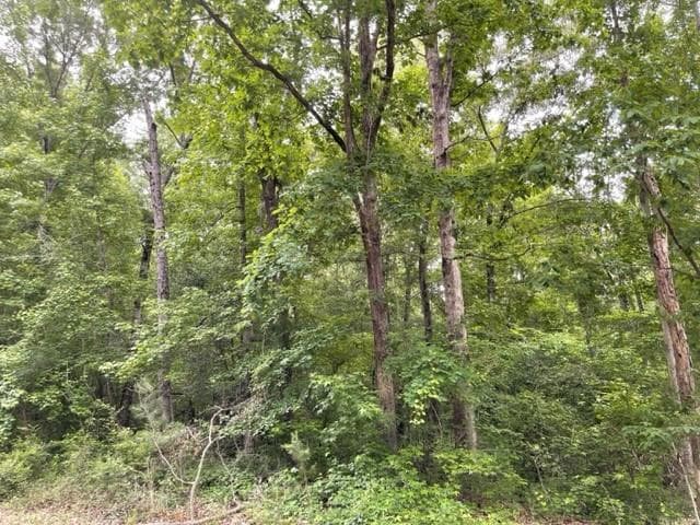 unimproved land for sale at 0 Napier Drive, Eatonton, GA 31024 — photo 1 of 4