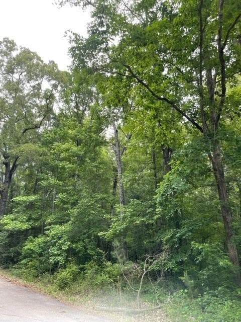 unimproved land for sale at 0 Napier Drive, Eatonton, GA 31024 — photo 2