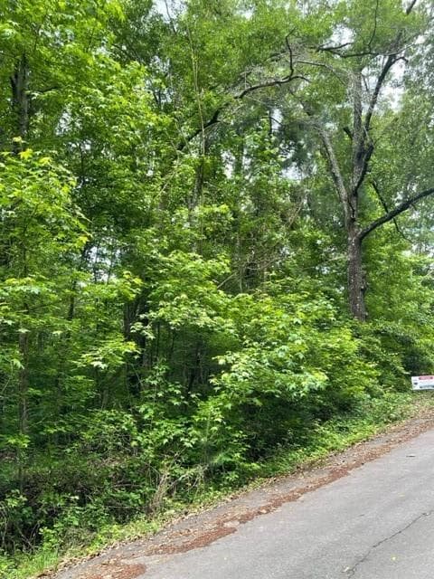 unimproved land for sale at 0 Napier Drive, Eatonton, GA 31024 — photo 3