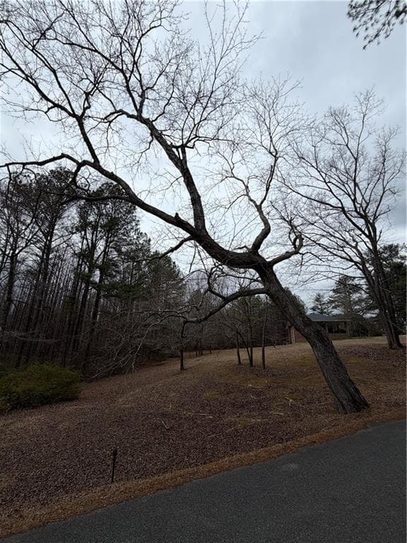 3 bedroom, 2 bathroom, 1,572 sq ft single family residence for sale at 363 Lane Road, Dallas, GA 30157 — photo 6