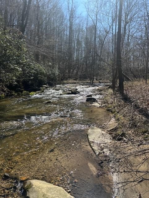 other for sale at 0 Lot 16 Bravo Way, Talking Rock, GA 30175