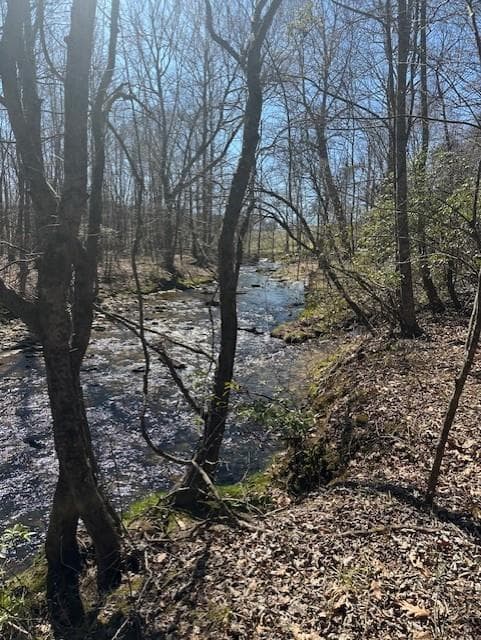other for sale at 0 Lot 16 Bravo Way, Talking Rock, GA 30175 — photo 2