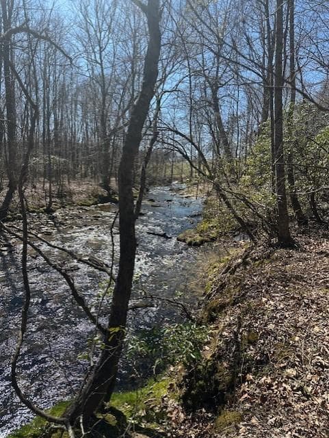 other for sale at 0 Lot 16 Bravo Way, Talking Rock, GA 30175 — photo 3