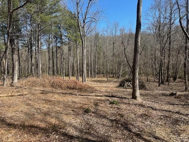 other for sale at 0 Lot 16 Bravo Way, Talking Rock, GA 30175 — photo 5