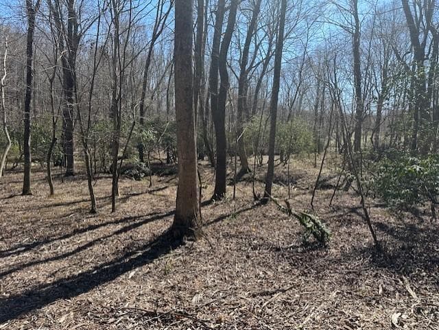 other for sale at 0 Lot 16 Bravo Way, Talking Rock, GA 30175 — photo 6
