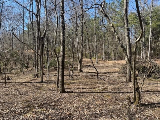other for sale at 0 Lot 16 Bravo Way, Talking Rock, GA 30175 — photo 7