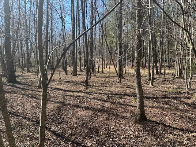 other for sale at 0 Lot 16 Bravo Way, Talking Rock, GA 30175 — photo 8
