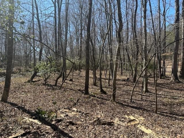 other for sale at 0 Lot 16 Bravo Way, Talking Rock, GA 30175 — photo 9