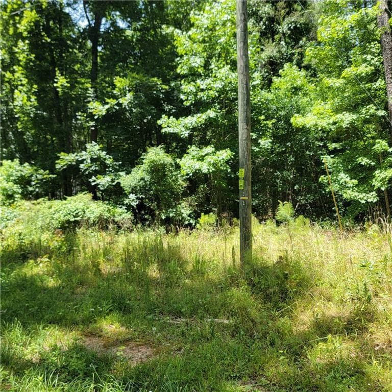 unimproved land for sale at 0 Spring Hill Drive, Covington, GA 30016 — photo 4
