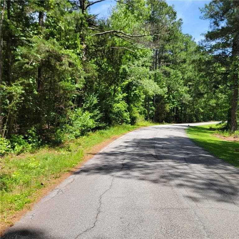 unimproved land for sale at 0 Spring Hill Drive, Covington, GA 30016 — photo 5