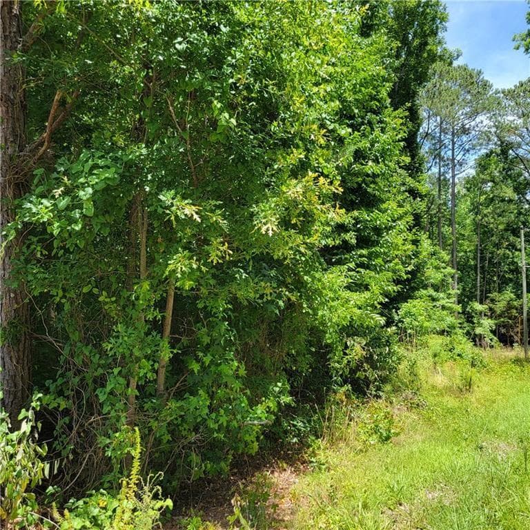unimproved land for sale at 0 Spring Hill Drive, Covington, GA 30016 — photo 6