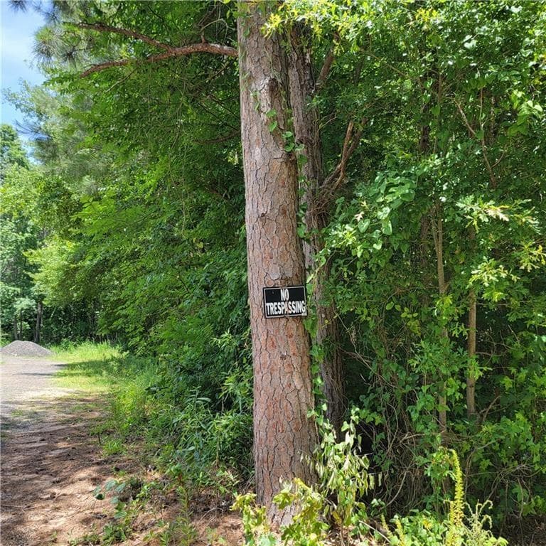 unimproved land for sale at 0 Spring Hill Drive, Covington, GA 30016 — photo 7